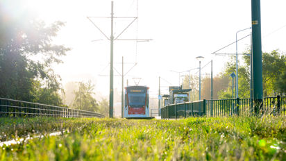 tram tram