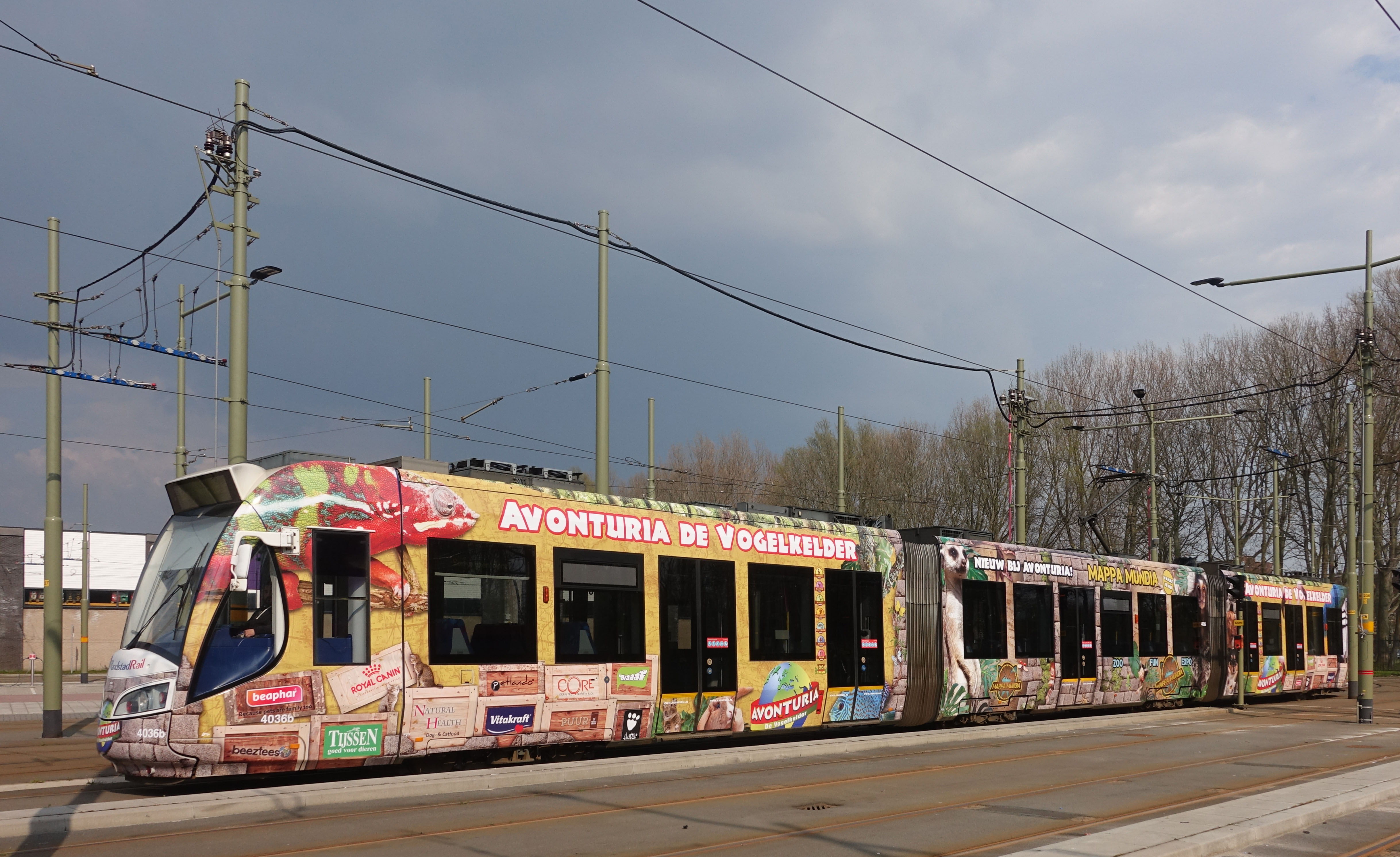 RandstadRail met Vogelkelder advertentie