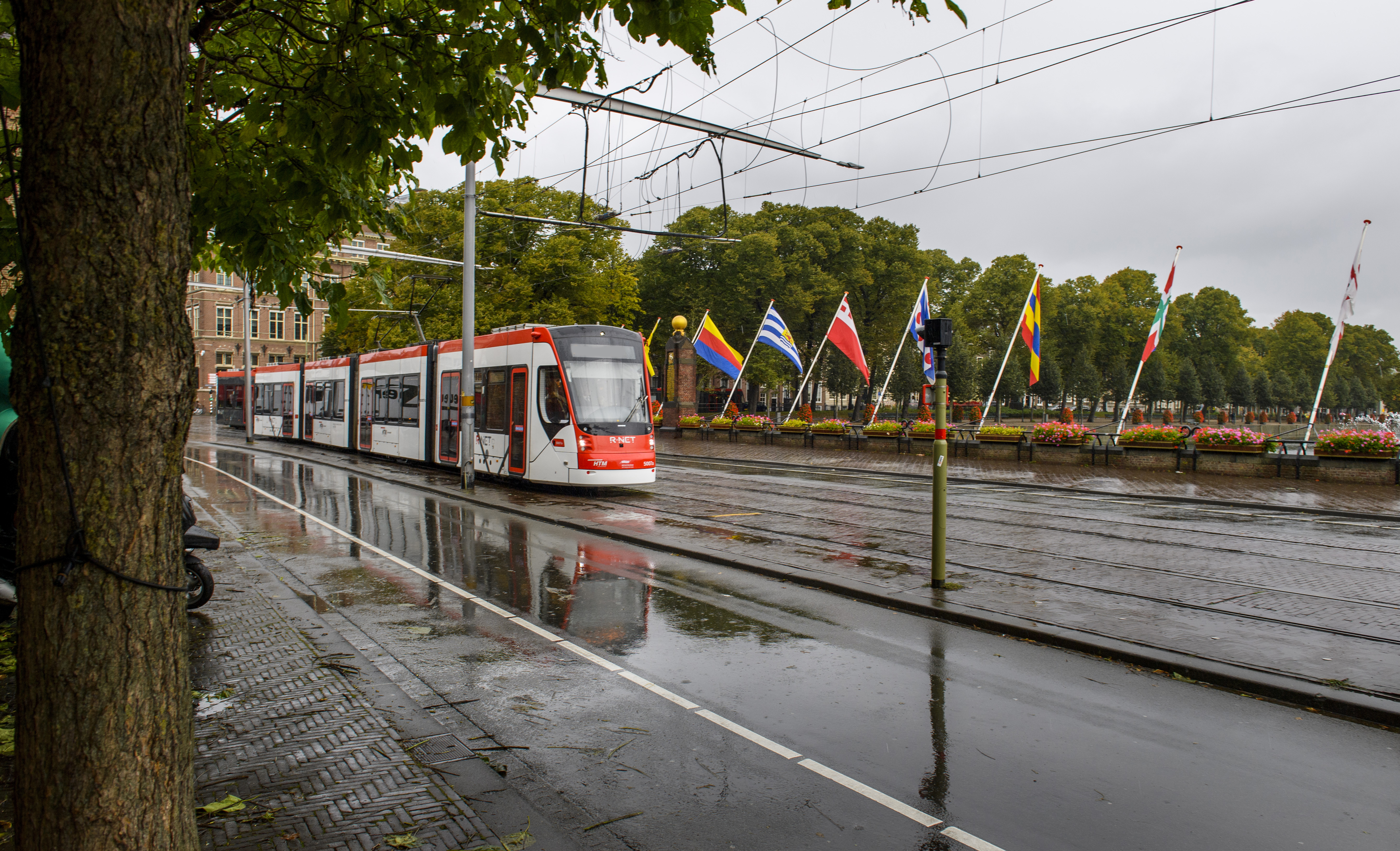 Wit met rode HTM tram rijdt bij Hofvijver Den Haag