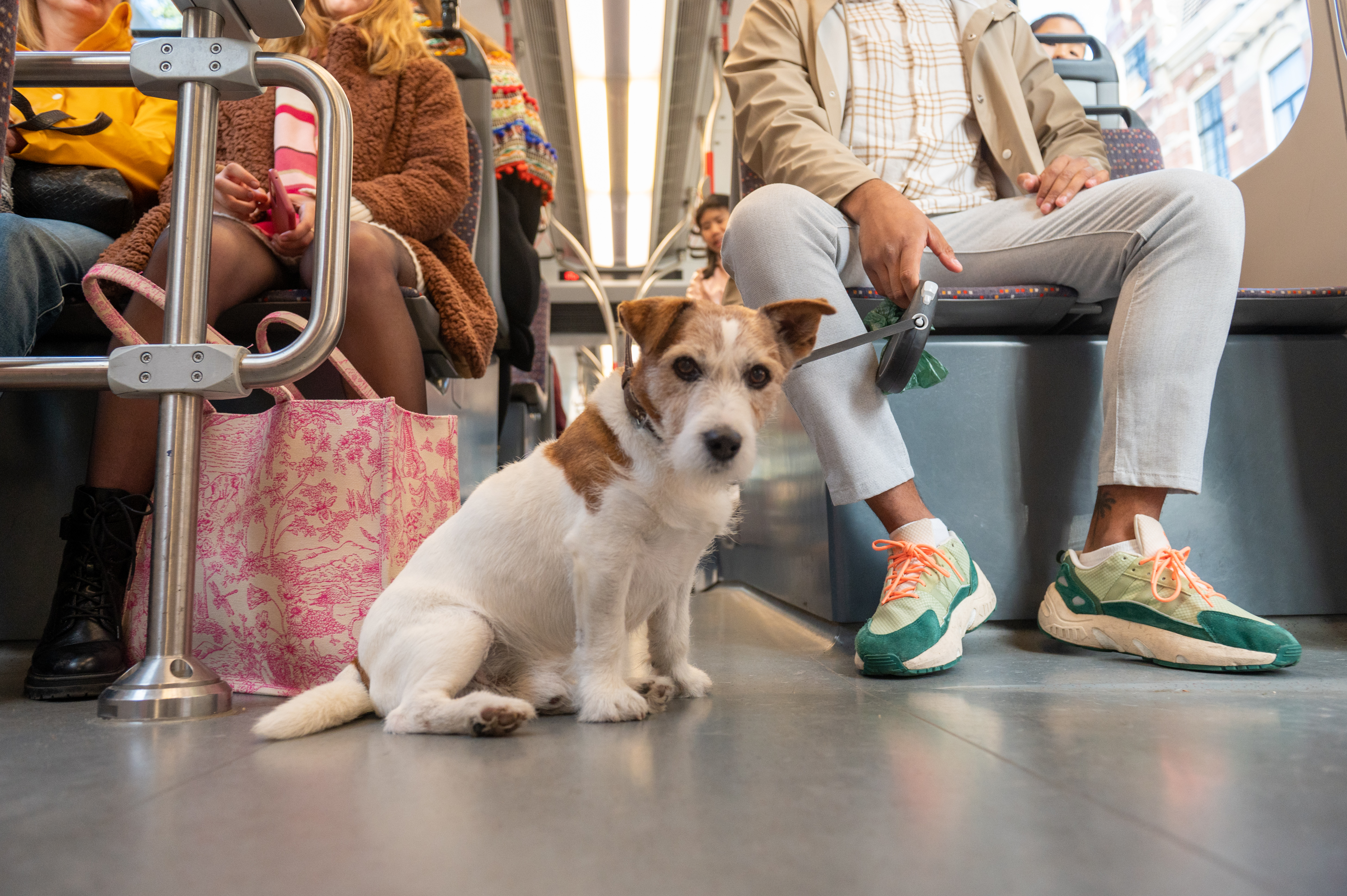 HTM reiziger met hond in HTM tram