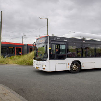 Avenio en Bus Avenio en Bus