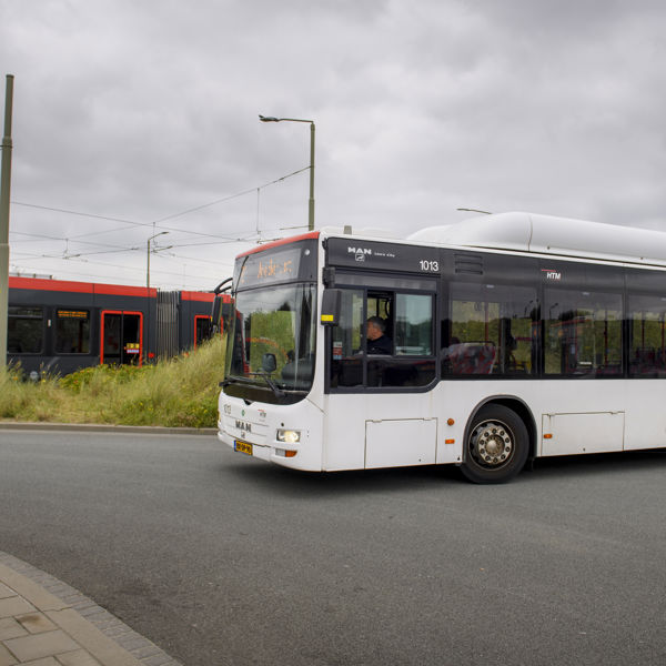 Avenio en Bus Avenio en Bus