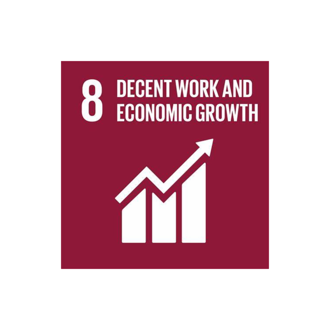 Sustainable Development Goal (SDG) 8 Decent work and economic growth