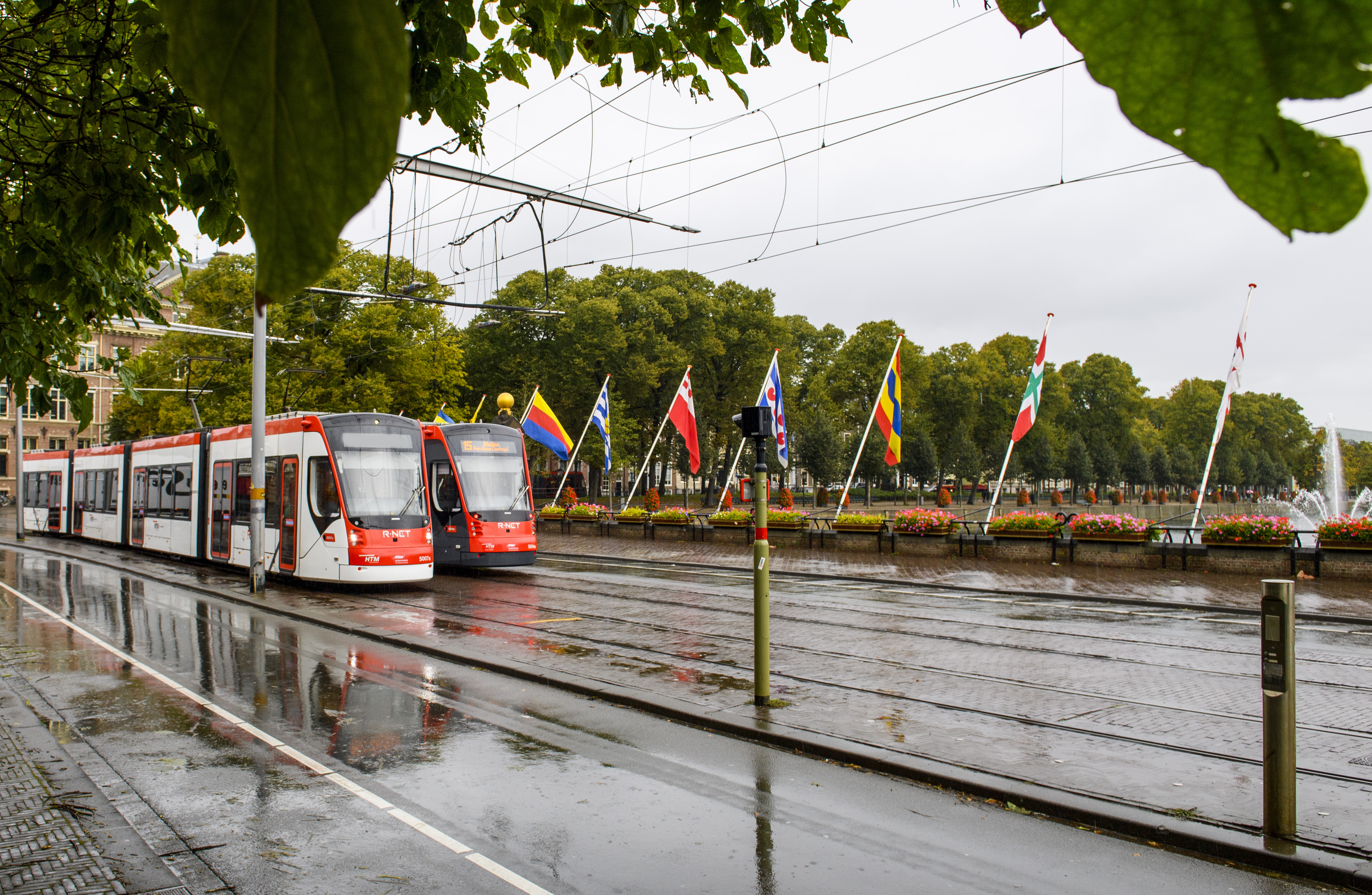Twee HTM trams naast elkaar bij de hofvijver in Den Haag