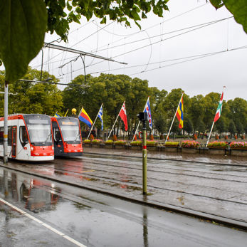 Twee trams kruisen elkaar bij de hofvijver Twee HTM trams naast elkaar bij de hofvijver in Den Haag