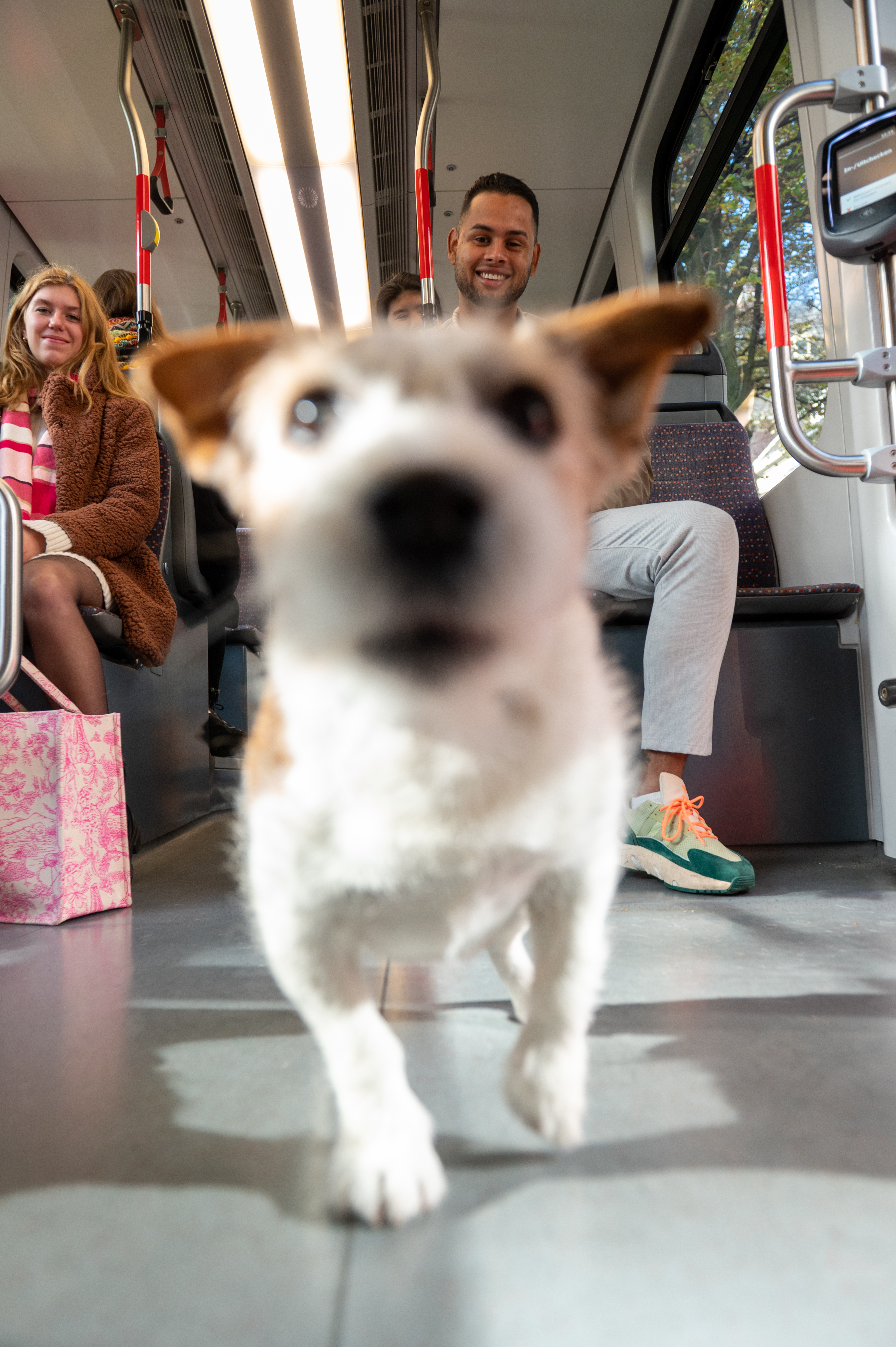 HTM reiziger met hond in HTM tram